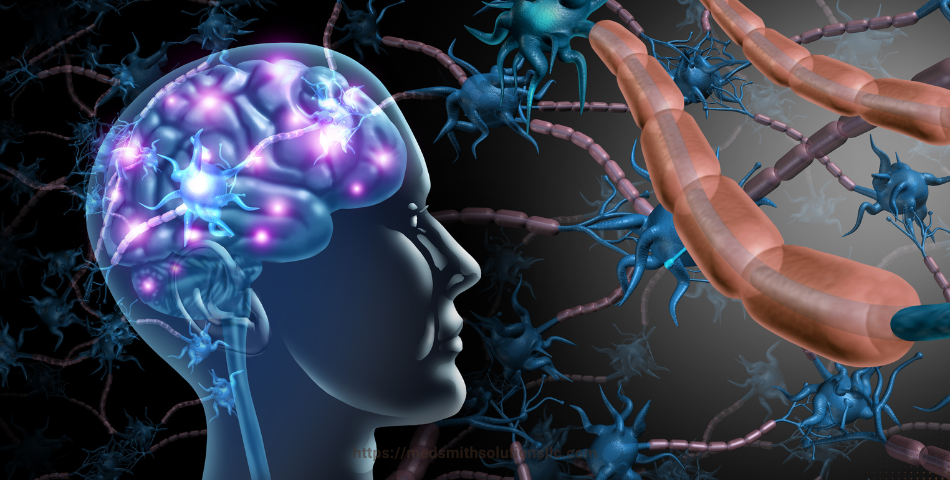 Understanding Brain Stem Damage: Causes, Consequences, and Legal Recourse