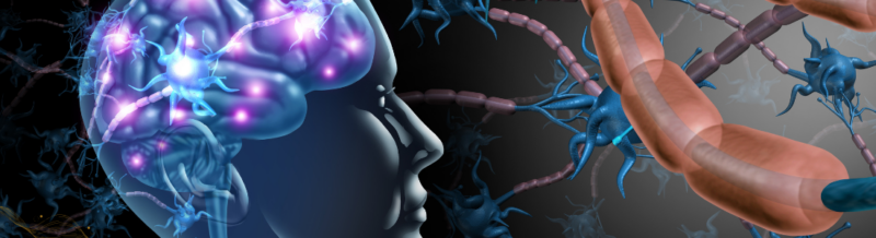 Understanding Brain Stem Damage: Causes, Consequences, and Legal Recourse
